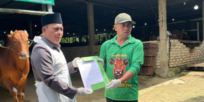 Jelang Idul Adha, Wabup Pamekasan Tinjau Kandang Rahayu Farm di Proppo
