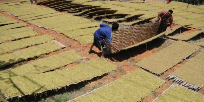 Disperindag Pamekasan Ingatkan Gudang Dan Pabrikan Soal Batas Sampel
