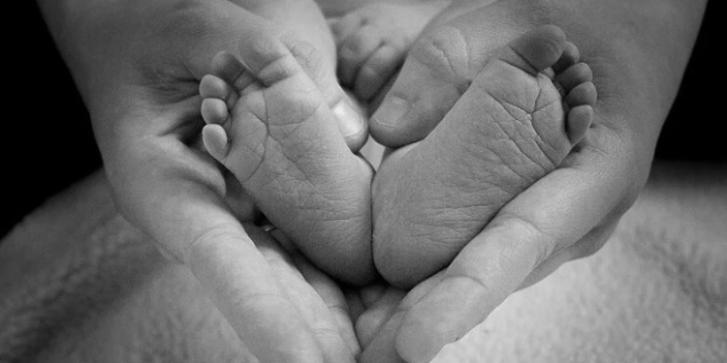 Kematian Bayi di Pamekasan Bertambah, Dinkes Bentuk Lima Klaster Penanganan