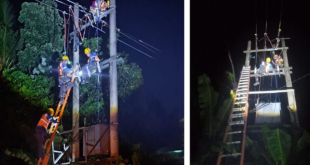 Cuaca Ekstrem Terjang Palengaan, PLN Kebut Pemulihan Jaringan Listrik