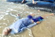 Diduga Terpeleset, Lansia Ditemukan Meninggal di Pantai Padelegan