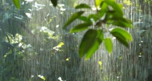 Cuaca Ekstrem Mengintai Jatim, BMKG Minta Warga Tetap Waspada