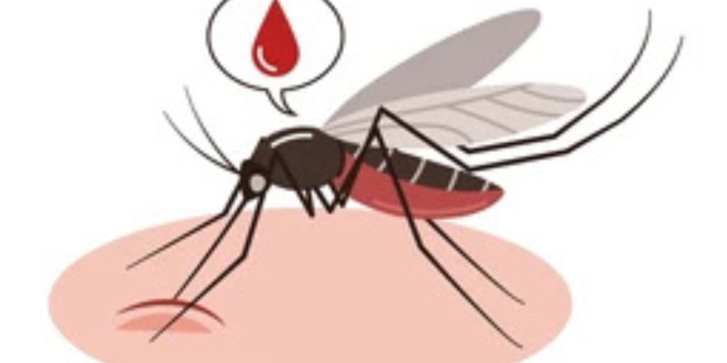 DBD Masih Mengancam, Dinkes Ajak Warga Disiplin 3M