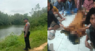 Pamit Cari Rumput, Nenek di Karang Penang Sampang Ditemukan Meninggal di Waduk