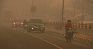 Dikepung Asap Karhutla, Aktivitas Warga Pangkalan Bun Terganggu, Sekolah Kembali PJJ