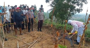 Jenazah Lansia di Perbukitan Togrebe Pegantenan Ternyata Sempat Dilaporkan Hilang ke Karimata